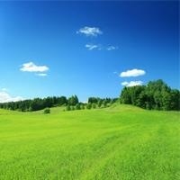 阳煤化工：部属控股子公司恒通化工主营离子膜烧碱年产能为40万吨